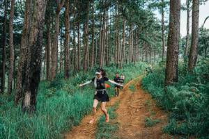 BIB: 
                            <button type="button" onclick="openModal(25741238)" class="btn btn-primary btn-sm float-right btn-popup" data-toggle="modal" data-target=".modal-high-quality">
                        <i class="fas fa-shopping-cart"></i> Add to Cart
                    </button>
                                            <button type="button" onclick="isThisMe(25741238, true)" class="btn btn-success btn-sm float-right btn-popup btn-isme hidden" data-toggle="tooltip" data-placement="bottom" title="นี่คือรูปของคุณใช่ไหม คลิกที่นี่เพื่อเอาเข้าอัลบั้ม">
                        <i class="fas fa-plus"></i> Add to album
                    </button>
                    <button type="button" onclick="isThisMe(25741238, false)" class="btn btn-warning btn-sm float-right btn-popup btn-isnotme hidden">
                        <i class="fas fa-ban"></i> Remove from album
                    </button>